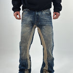 Immagine diapositiva